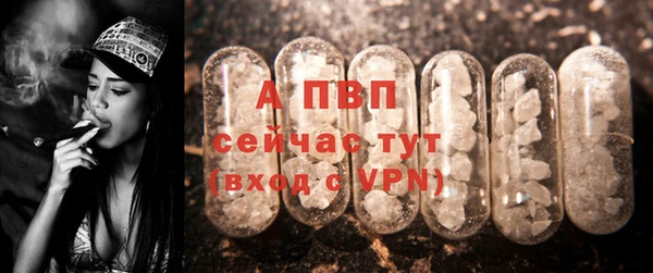 винт Балахна