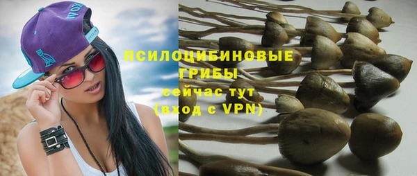 mdpv Сафоново